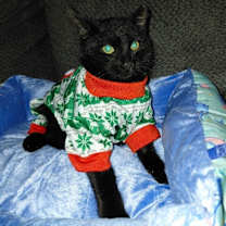 Thumbnail photo of Venom #1