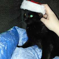 Thumbnail photo of Venom #2