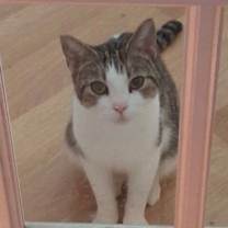 Thumbnail photo of Ruby the Sweet Mama #2