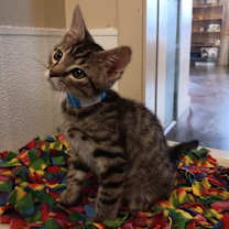 Thumbnail photo of Boy George #3