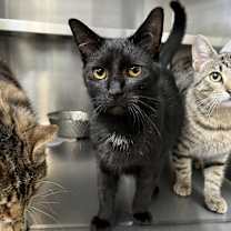 Thumbnail photo of Wallace Wells #1