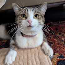 Thumbnail photo of Monica #3