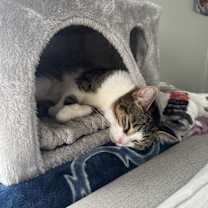 Thumbnail photo of Monica #4