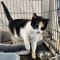 Thumbnail photo of Helen #1