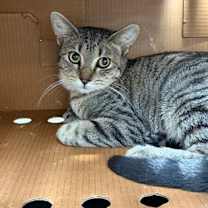 Thumbnail photo of Christmas #2