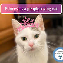 Thumbnail photo of Princess #1