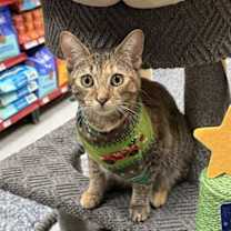 Thumbnail photo of Emily ( Stacy ) #4