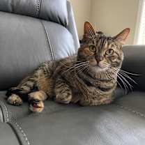 Thumbnail photo of Luna #2