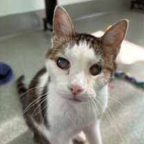 Thumbnail photo of Wilbur #1