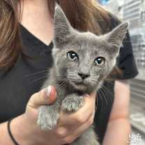 Thumbnail photo of Asia #1