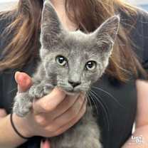 Thumbnail photo of Asia #2