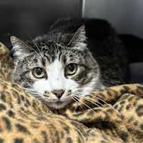 Thumbnail photo of Squeeks #1