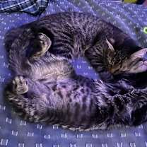 Thumbnail photo of Meg #4