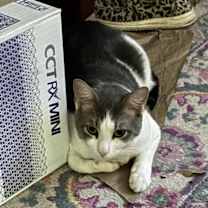 Thumbnail photo of Dennis #2