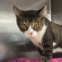 Thumbnail photo of Max #1