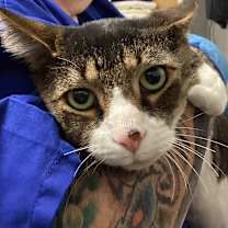 Thumbnail photo of Max #3