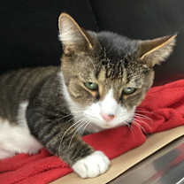 Thumbnail photo of Max #4