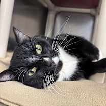 Thumbnail photo of Benny #1