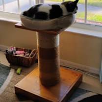 Thumbnail photo of Mia #2