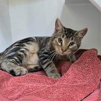 Thumbnail photo of River #2