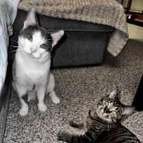 Thumbnail photo of River and Smoke #4