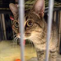 Thumbnail photo of Justine  #3