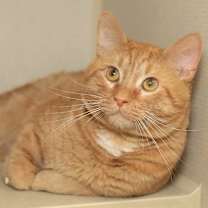 Thumbnail photo of Orchard #1