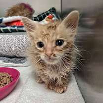 Thumbnail photo of Forrest Gump #2