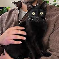 Thumbnail photo of Meadow Hyattsville #3