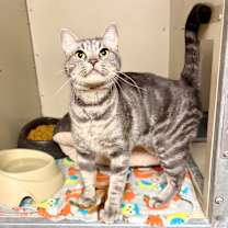 Thumbnail photo of Jingle #1