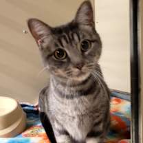 Thumbnail photo of Jingle #2