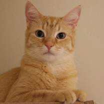 Thumbnail photo of Diem #1