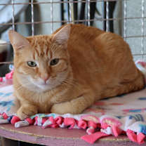 Thumbnail photo of Diem #3