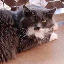 Thumbnail photo of Everly #3