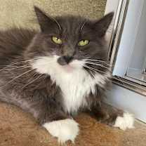 Thumbnail photo of Everly #4