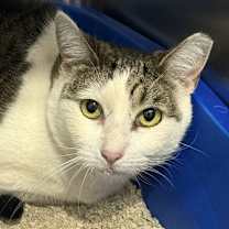 Thumbnail photo of Kayel #2