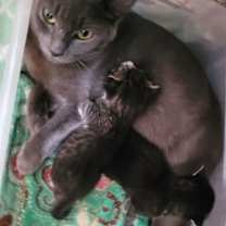 Thumbnail photo of Danica #2