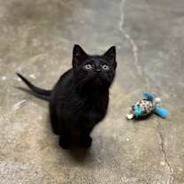 Thumbnail photo of Leah #1