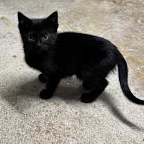 Thumbnail photo of Leah #4