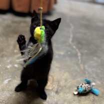 Thumbnail photo of Leah #3