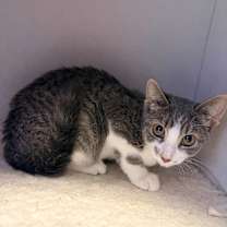 Thumbnail photo of Marty #2