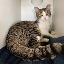 Thumbnail photo of Smitty #2