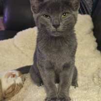 Thumbnail photo of Mandie #4