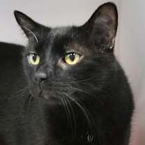 Thumbnail photo of Kevin #1