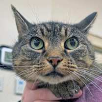 Thumbnail photo of Lady Bug #2