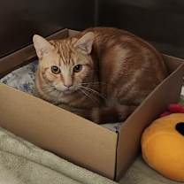 Thumbnail photo of CJ #1