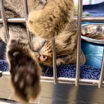 Thumbnail photo of Sprite #3