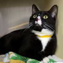 Thumbnail photo of Geneva #1