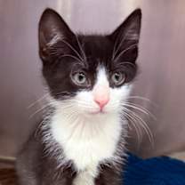 Thumbnail photo of Sandile #2