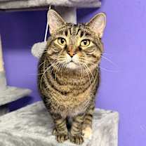 Thumbnail photo of Mini #1